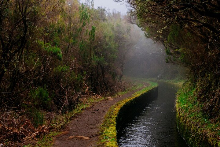 Levada do Rei PR18 Scenic Hike in Madeira - Transfer Service