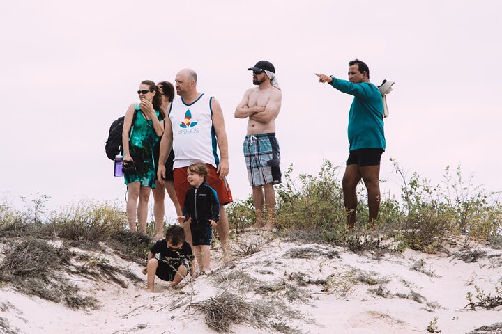 Española Island Tour: Waved Albatross and Wildlife Adventure