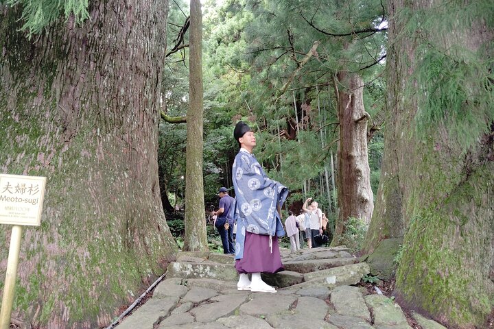 Wakayama: Kumano Kodo Sacred Walk to Nachi’s Sacred Sites