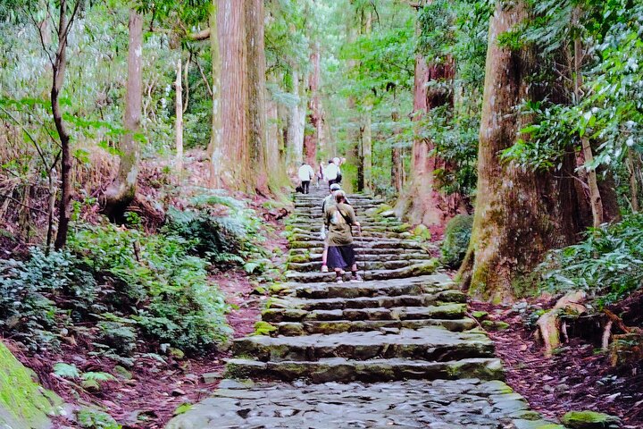Wakayama: Kumano Kodo Sacred Walk to Nachi’s Sacred Sites