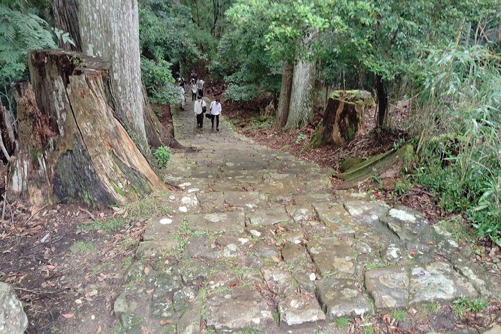 Wakayama: Kumano Kodo Sacred Walk to Nachi’s Sacred Sites