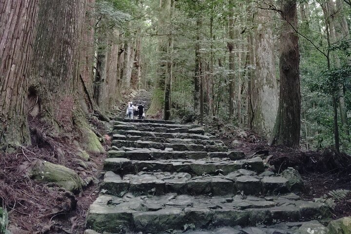 Wakayama: Kumano Kodo Sacred Walk to Nachi’s Sacred Sites