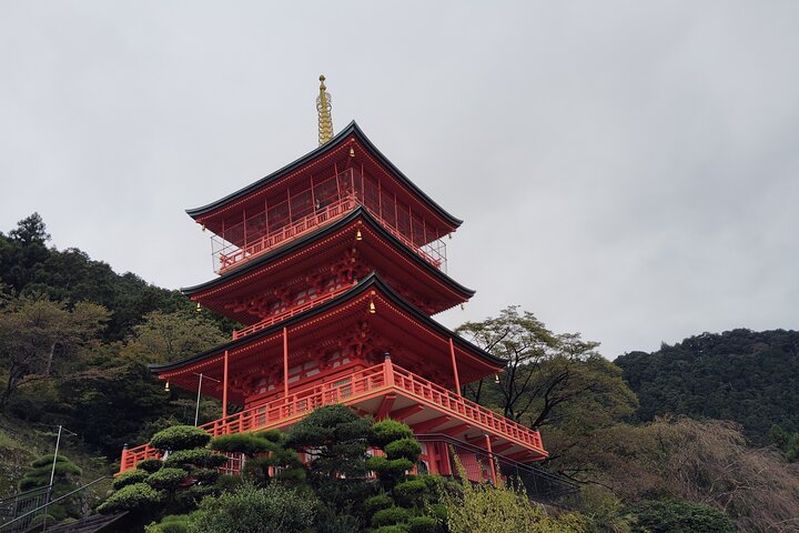 Wakayama: Kumano Kodo Sacred Walk to Nachi’s Sacred Sites