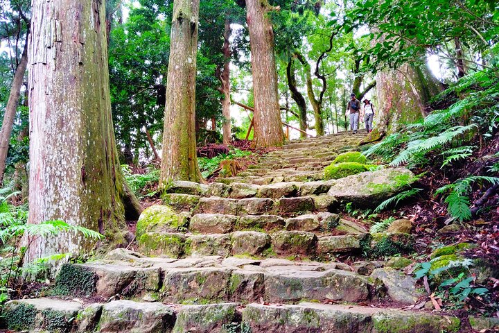Wakayama: Kumano Kodo Sacred Walk to Nachi’s Sacred Sites