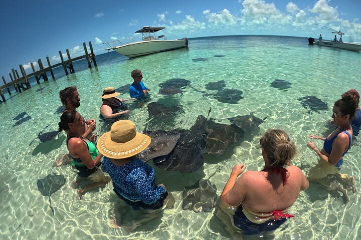 Top 4 Snorkeling Adventures in Bimini
