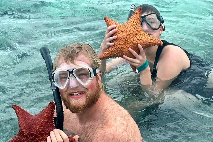 Top 4 Snorkeling Adventures in Bimini