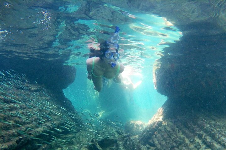 Top 4 Snorkeling Adventures in Bimini