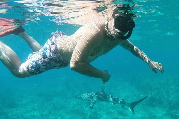 Top 4 Snorkeling Adventures in Bimini