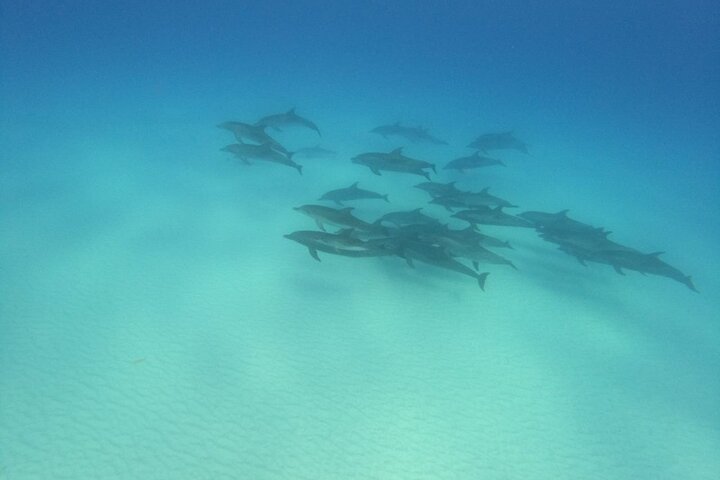 Create-Your-Own Luxury Adventure in Bimini with photographer
