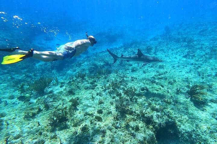 Create-Your-Own Luxury Adventure in Bimini with photographer