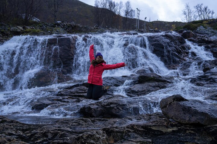 Tromsø: Big Bus Fjord Tour with free photos and wildlife