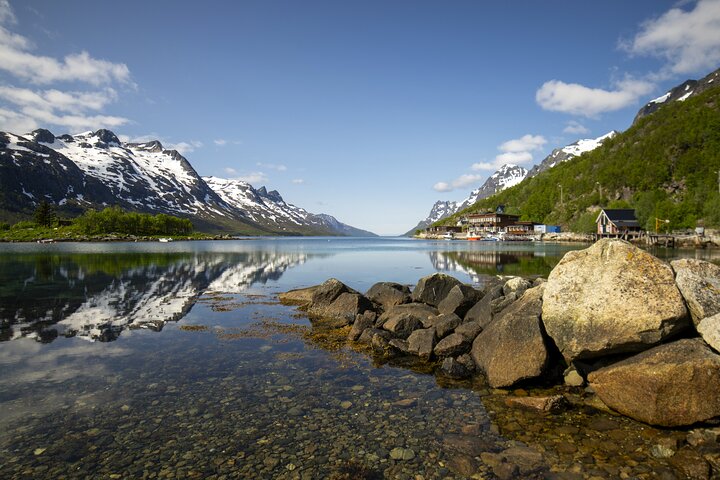 Tromsø: Big Bus Fjord Tour with free photos and wildlife