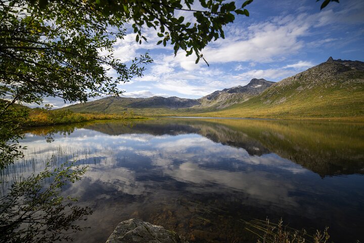 Tromsø: Big Bus Fjord Tour with free photos and wildlife