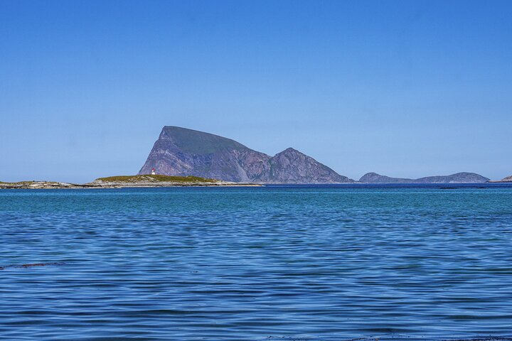Tromsø: Big Bus Fjord Tour with free photos and wildlife