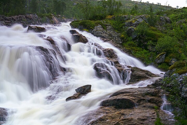 Tromsø: Big Bus Fjord Tour with free photos and wildlife