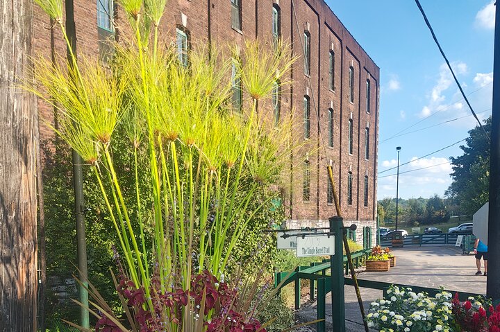 Kentucky Bourbon Experience: 3 Iconic Distilleries & Tastings