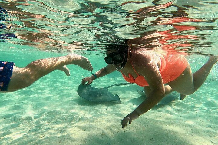 Top 4 Snorkeling Adventures in Bimini