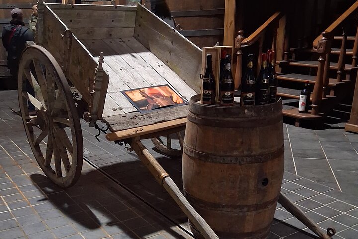 Etna and Wine an experience between nature and aromas with taste.