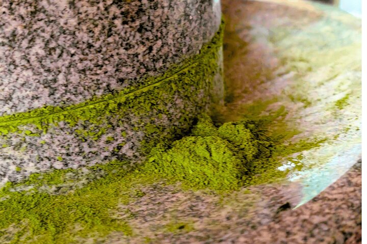 Nishio Matcha Story|Tea Ceremony & Matcha Kaiseki Journey