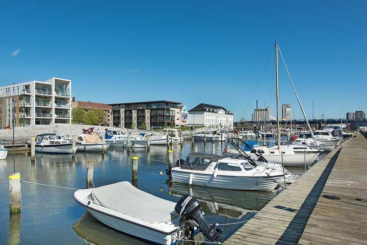 Aalborg Private Half Day Tour from Cruise Port