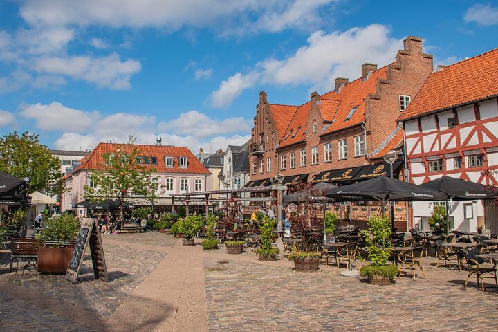Aalborg Private Half Day Tour from Cruise Port