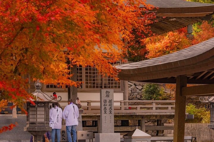 Kagawa: Private Customizable Tour - Hidden Gems & Tradition