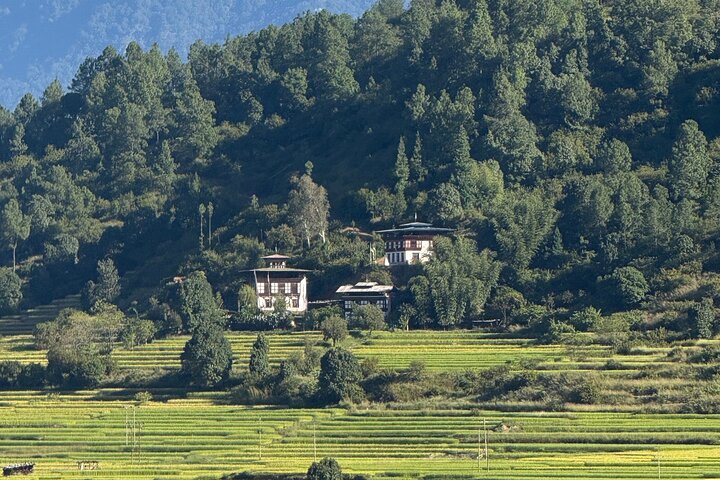5 days Bhutan cultural Tour from Bhutan
