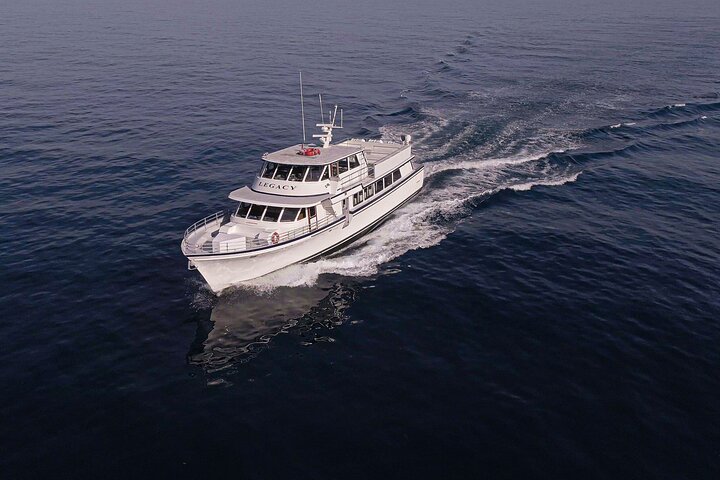 San Diego: 3 Hour Whale Watch Cruise with Legacy Whale Watch