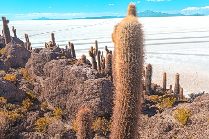 3-Day Uyuni Salt Flats & Lagoons to San Pedro de Atacama