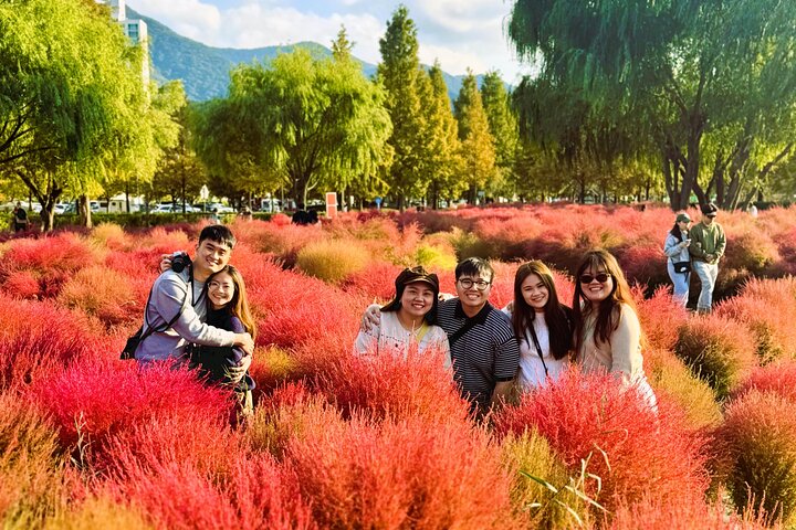 Busan Private Tour with Licensed Local guide