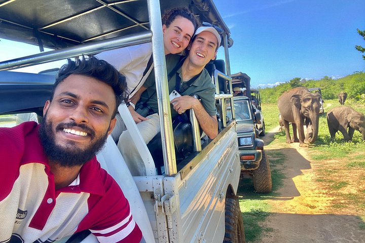 Safari with Sheran Udawalawe National Park