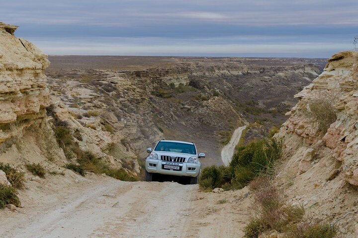 Photo Tour to Aral Sea from Khiva or Nukus