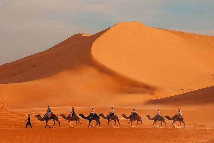 Luxury Desert Camp Experience with Camel Ride & Private Tent