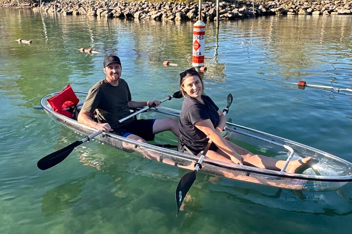Crystal River: Three Sisters Manatee Clear Kayak Tour Free Photos