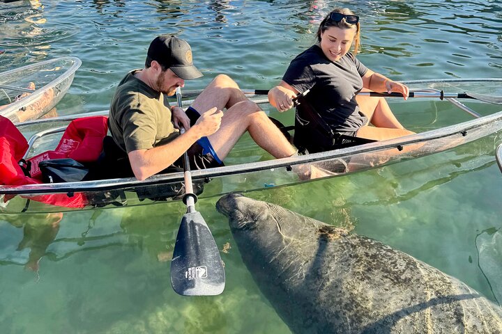 Crystal River: Three Sisters Manatee Clear Kayak Tour Free Photos