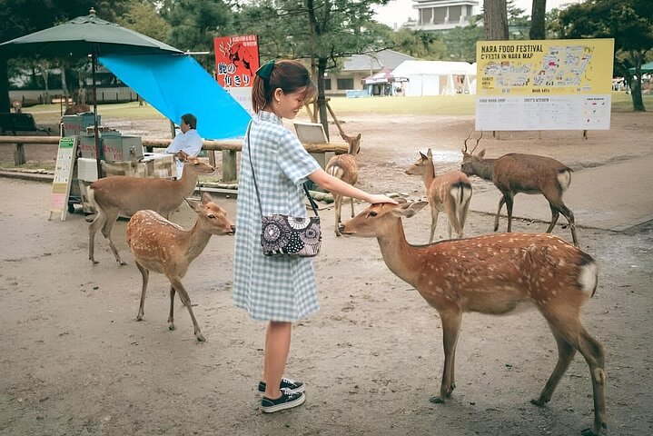 Nara Unlocked With a Private Car Tour from Kyoto by Guide