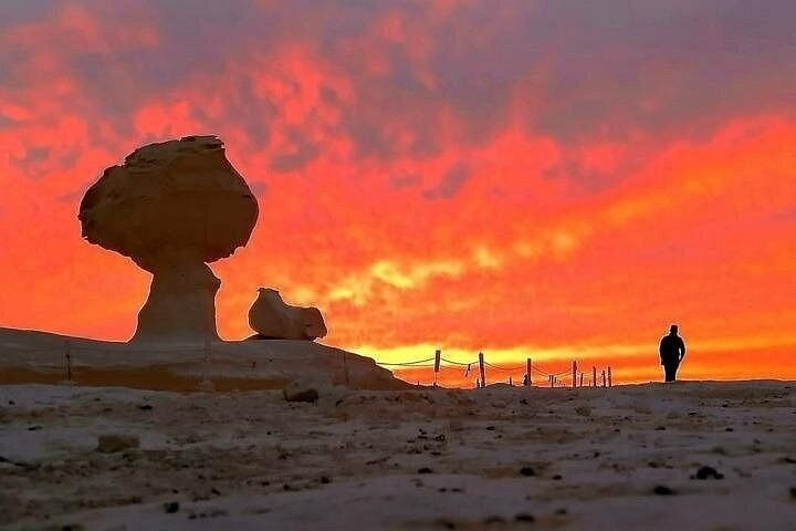 2-Day Bahariya Oasis White and Black Overnight Camping Jeep Tour