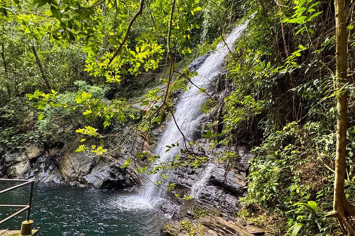 ATV and Waterfall Tour from Hopkins Village