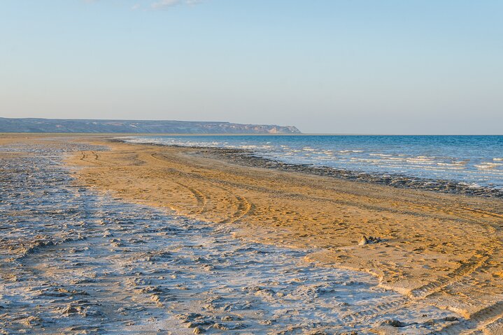Photo Tour to Aral Sea from Khiva or Nukus