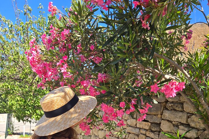 Gastronomy tour and wine tasting in traditional villages