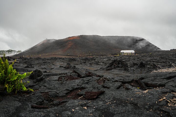 Hilo Shore Excursion: Volcano Safari Lava Caves & Black Sand