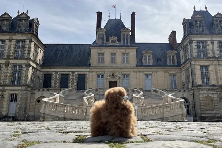 Château de Fontainebleau and Barbizon Village Full Day Tour