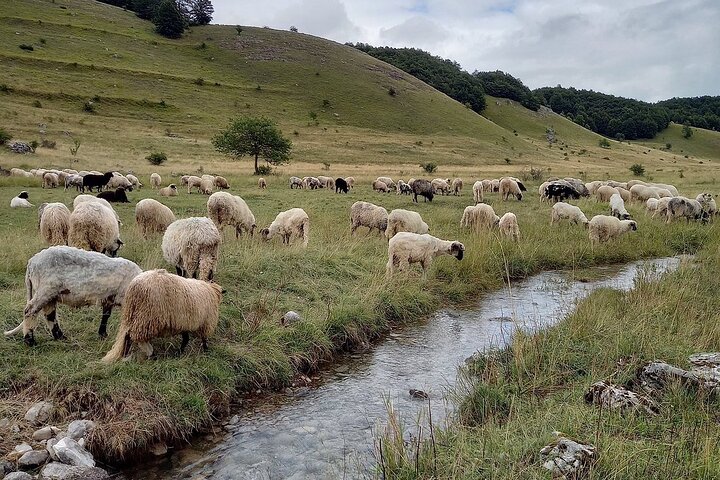 From Sarajevo: Full-Day Hike to Lukomir Village