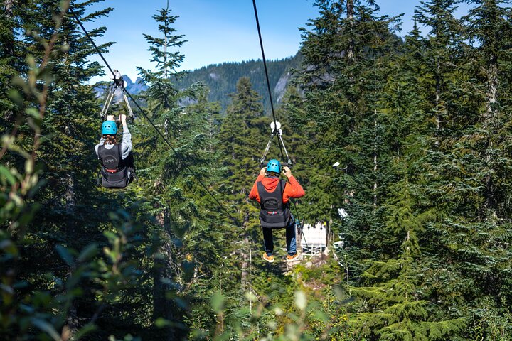 Grouse Mountain Admission Ticket