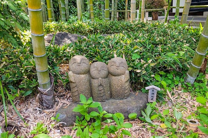 Kamakura Historical Walking Tour with the Great Buddha