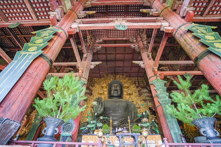 Nara Half Day Trip Walking Tour (Private Option Available)