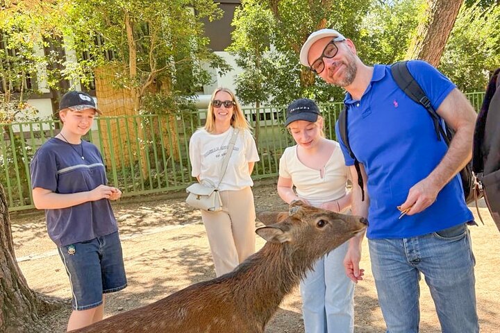 Nara Half Day Trip Walking Tour (Private Option Available)