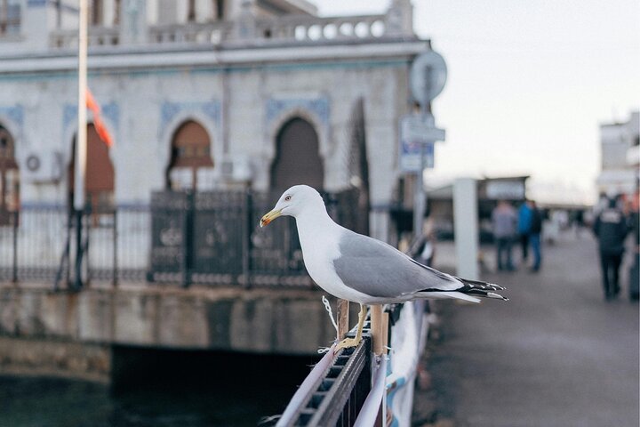 Istanbul Princes' Islands Cycling Tour