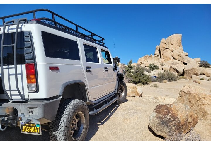 Joshua Tree National Park Scenic Tour