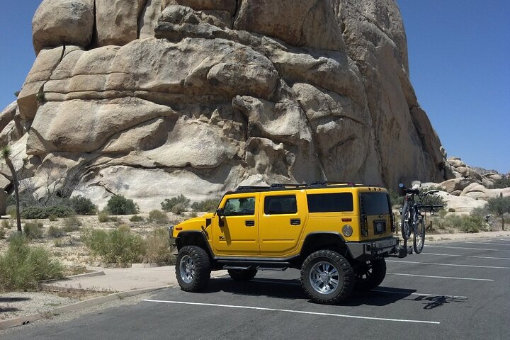 Joshua Tree National Park Scenic Tour